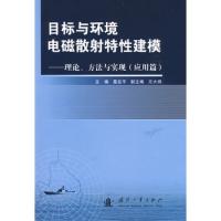 目標與環境電磁散射特性建模：理論、方法與實現（應用篇）