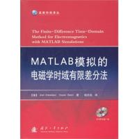 MATLAB模擬的電磁學時域有限差分法