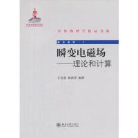 瞬變電磁場——理論和計算