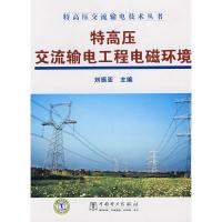 特高壓交流輸電技術叢書 特高壓交流輸電工程電磁環境