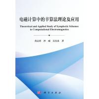 電磁計(jì)算中的辛算法理論及應(yīng)用